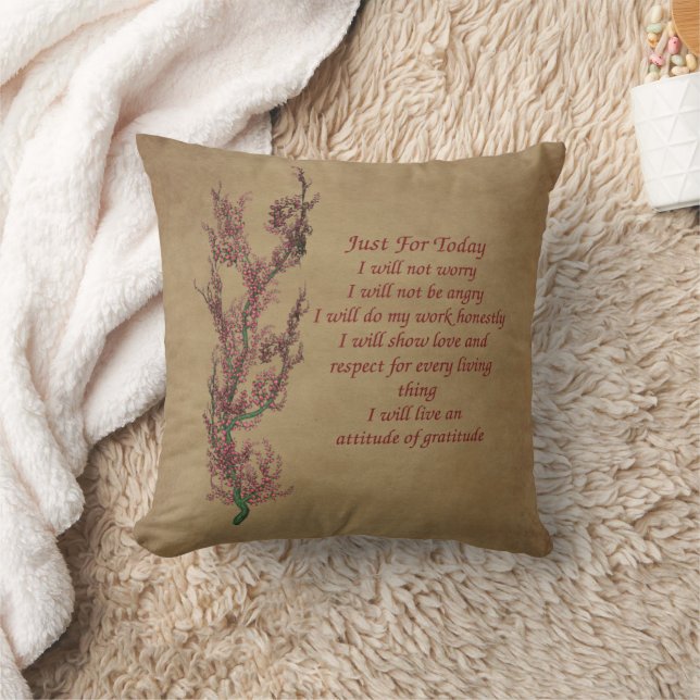 Coussin Fleurs Reiki Juste Pour Aujourd'Hui Inspirationnel (Couverture)