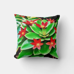 Coussin Fleurs rouges lumineuses