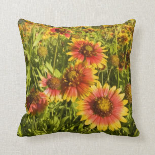 Coussin fleurs sauvages à roues à feu (Gaillardia pulchell
