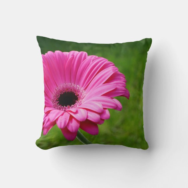 Coussin Floraison fuchsia de marguerite de Gerbera (Recto)
