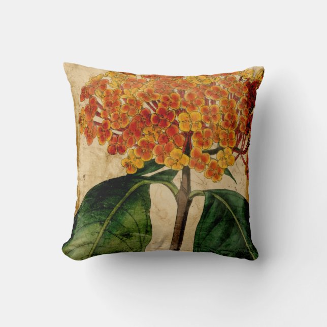 Coussin Floral I (Recto)