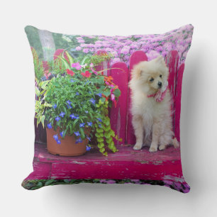 Coussin Fluffy Poméranien Chiot Rustique Jardin Floral