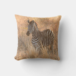Coussin Foie zébrée au lever du jour photo