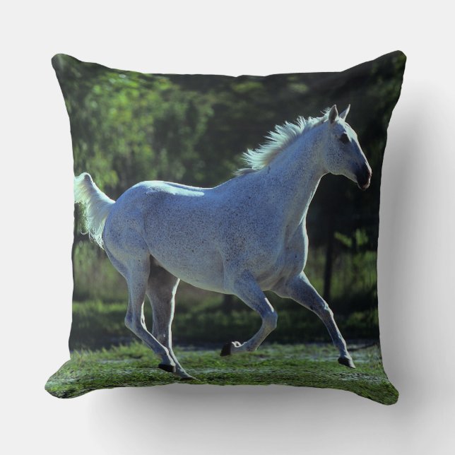 Coussin Fonctionnement d'étalon de pur sang (Recto)
