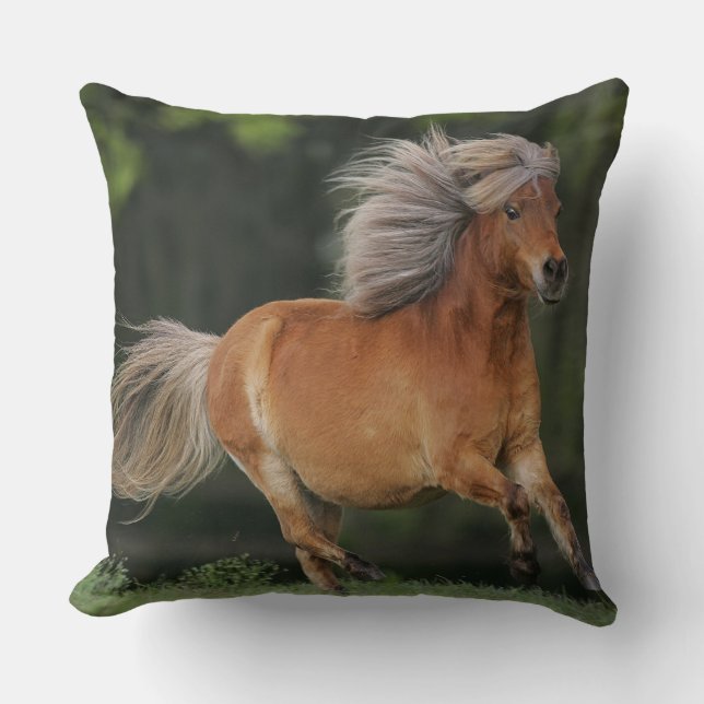 Coussin Fonctionnement miniature de cheval (Recto)