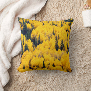 Coussin Forêt nationale de White River   Aspen, Colorado