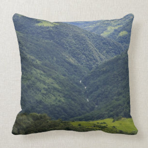 Coussin Forêts agricoles et himalaya dans la vallée de Man