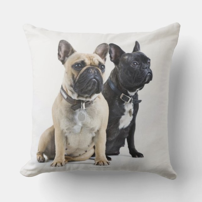 Coussin Formation et obéissance de chien (Recto)
