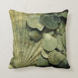 Coussin fossile de collection de Shell de feston