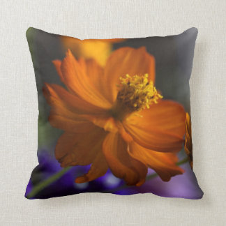 Coussin fou d'accent de cosmos