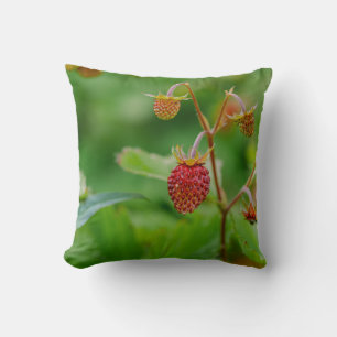 Coussin Fraise Fruite Fruite Vert Et Rouge Jardin Photo