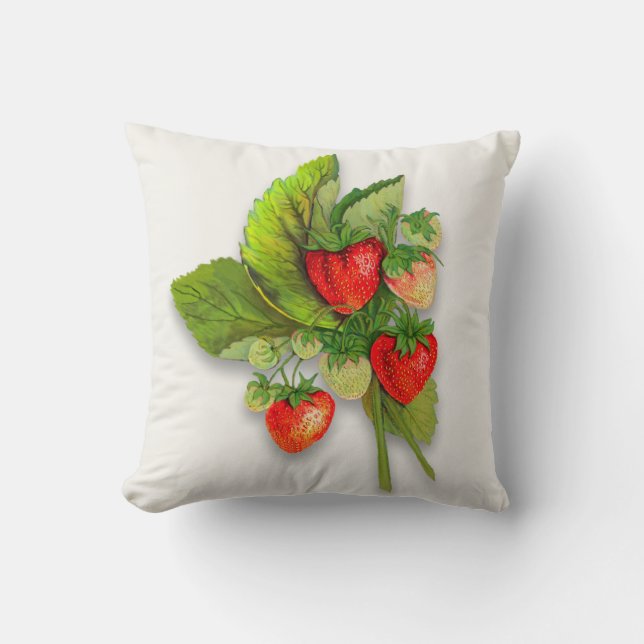 Coussin Fraises, dessin botanique Vintage réaliste (Recto)