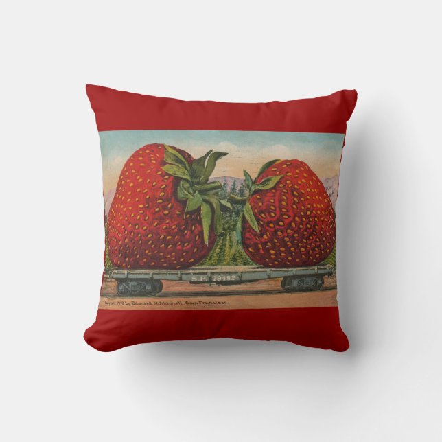 Coussin Fraises Giant Fruit Antique Fruit Amusant (Recto)