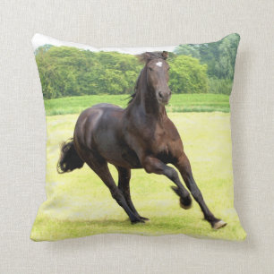 Coussin friesian-12.jpg