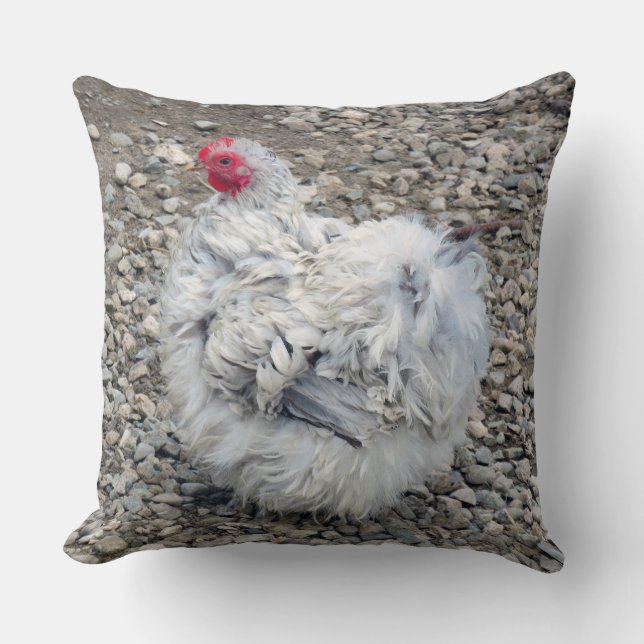 Coussin Frizzle Bantam Hen (Recto)