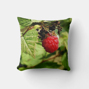 Coussin Fruits Et Légumes Colorés