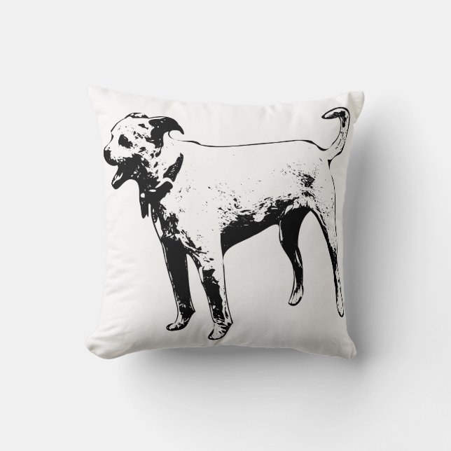 Coussin Gardien de la récolte (Recto)