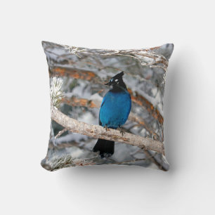 Coussin Geai de Steller par un jour d'hiver