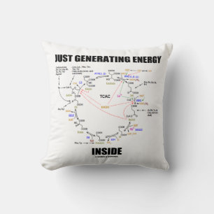 Coussin Générer de l'énergie à l'intérieur des Krebs Cycle