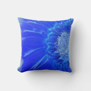Coussin gerbera bleu électrique