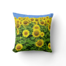 Gisements de tournesol