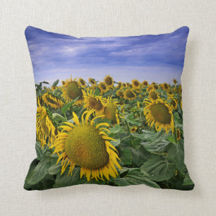 Coussin Gisements de tournesol de la Californie