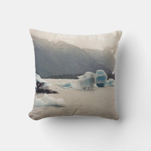 Coussin Glace bleue