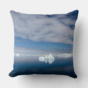 Coussin Glace flottante en Antarctique