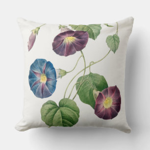 Coussin Gloire-étoile Volubilis, Pierre-Joseph Redouté