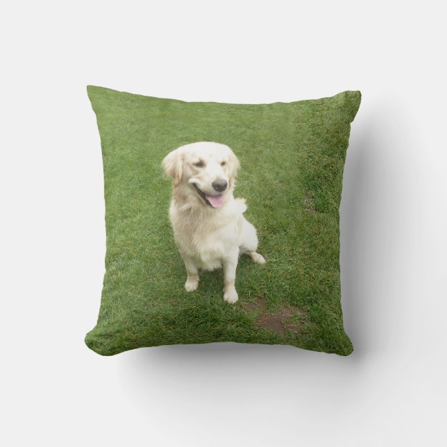 Coussin Golden Retriever (Recto)