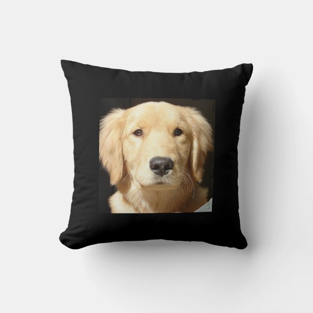 Coussin Golden Retriever Closeup (Recto)