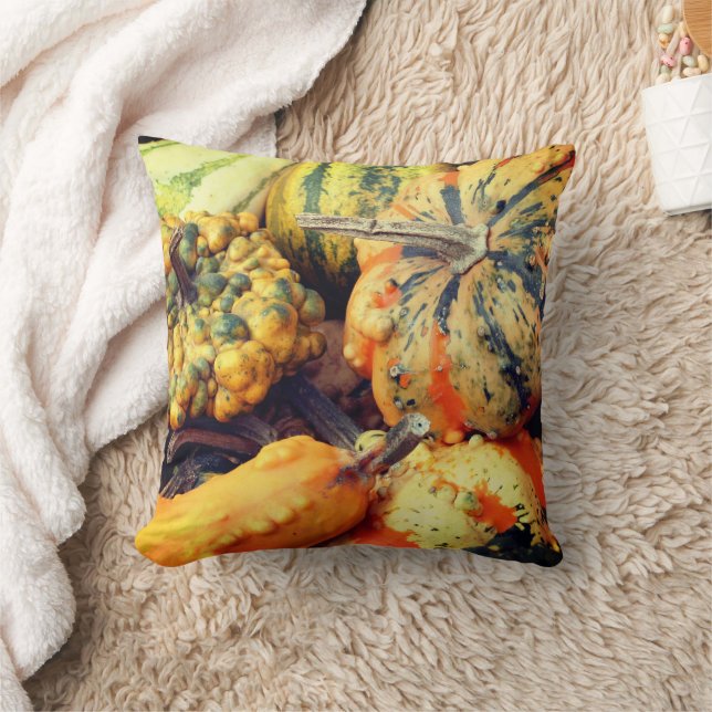 Coussin Gourdes colorées et fantaisie (Couverture)