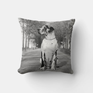 Coussin Grand Danois Pillow