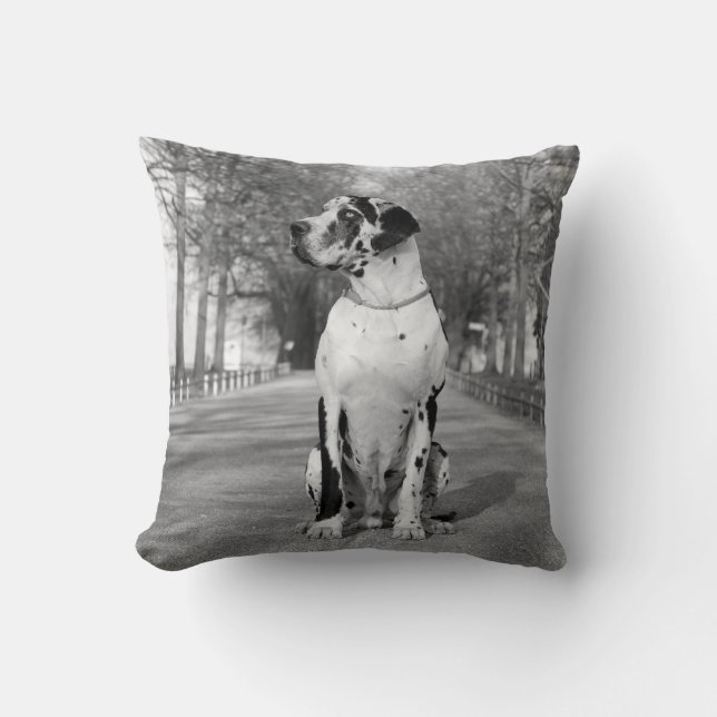 Coussin Grand Danois Pillow (Recto)