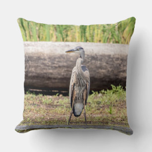 Coussin Grand Héron bleu debout dans le lac Champlain