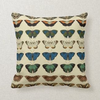 Coussin Grande collection de papillons