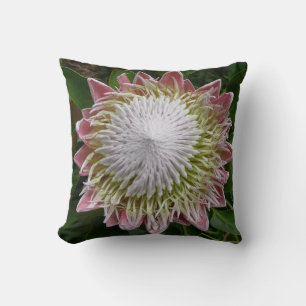 Coussin Grande photo de fleur rose et blanche dans la natu