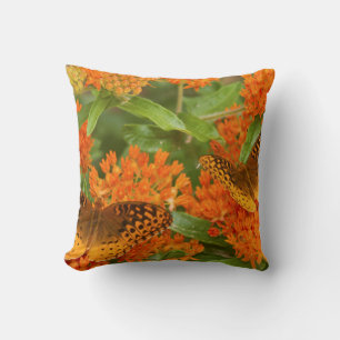 Coussin Grands fritillaires à nacres sur asclépiade tubére