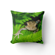 Grenouille d'arbre