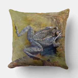 Coussin Grenouille léopard