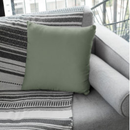 Coussin Grey verdâtre muet