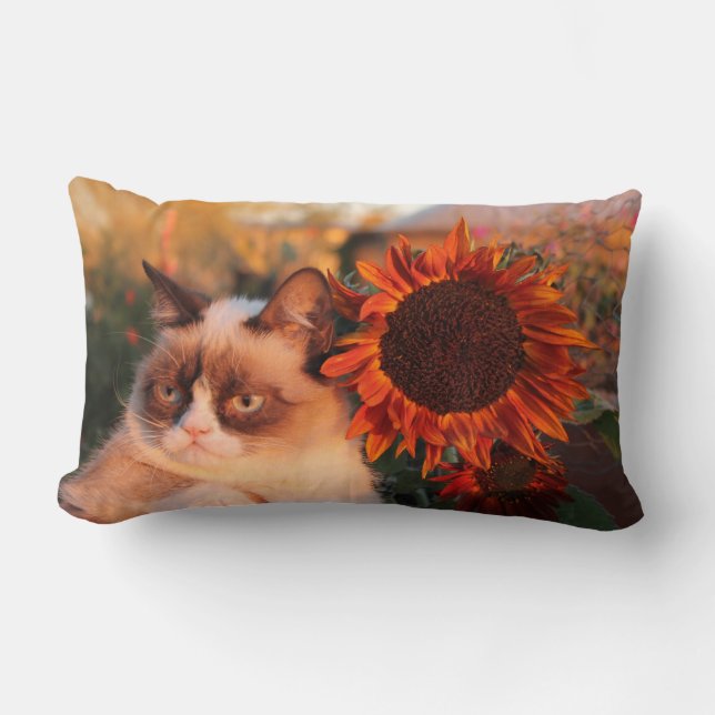Coussin grincheux de tournesol de chat (Recto)