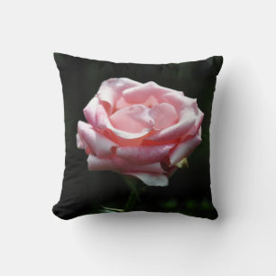 Coussin Gros plan Rose