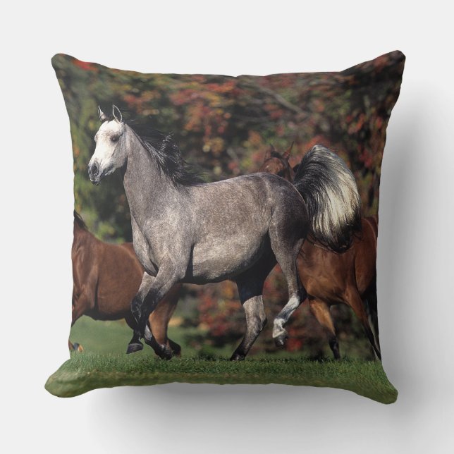 Coussin Groupe de fonctionnement arabe de chevaux (Recto)
