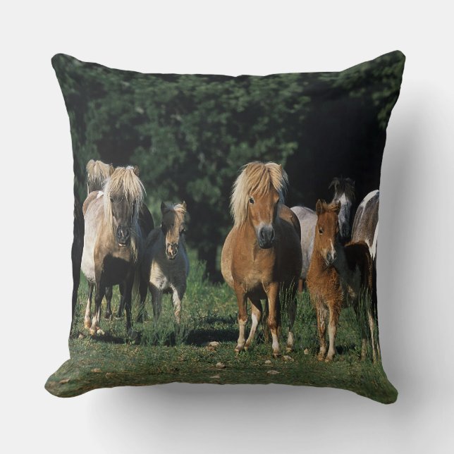 Coussin Groupe de poulains miniatures (Recto)