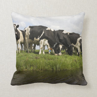Coussin Groupe de vaches frisonnes