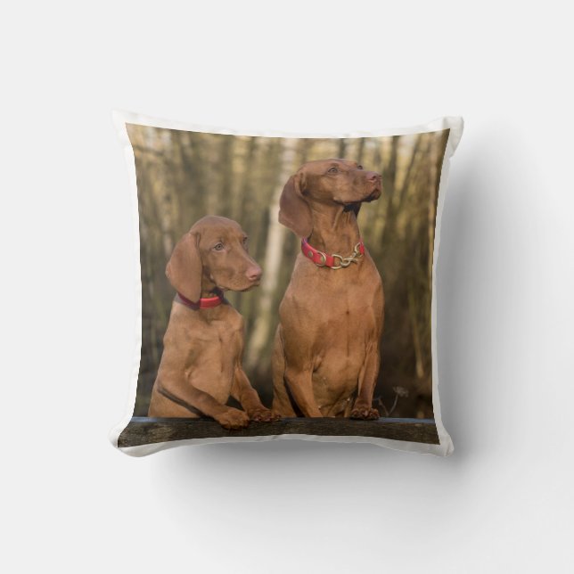 Coussin groupe de vizsla (Recto)