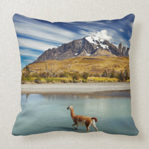 Coussin Guanaco traversant la rivière en Torres del Paine