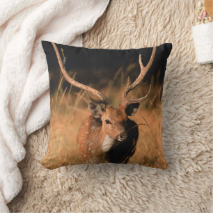 Coussin Habitat naturel du chital   Parc national de Bandh