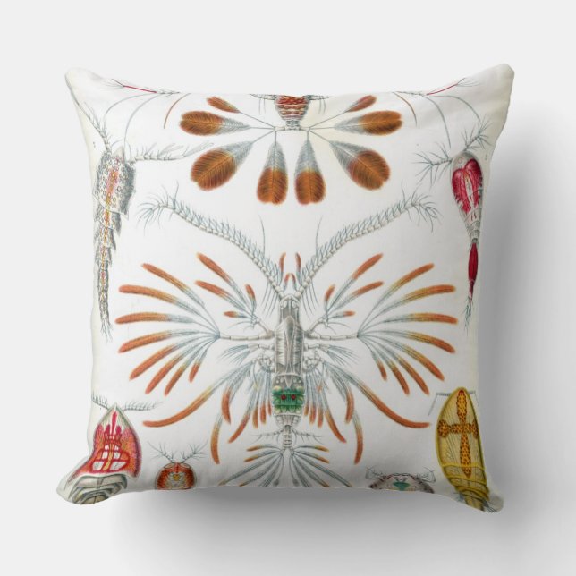 Coussin Haeckel Copepoda (Recto)